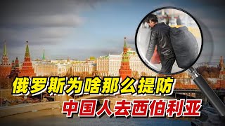 【九边】俄罗斯为啥那么提防中国人去西伯利亚？