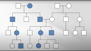 Genetic Counselor Explains How She Uses Family History to Identify Cardiac Risks
