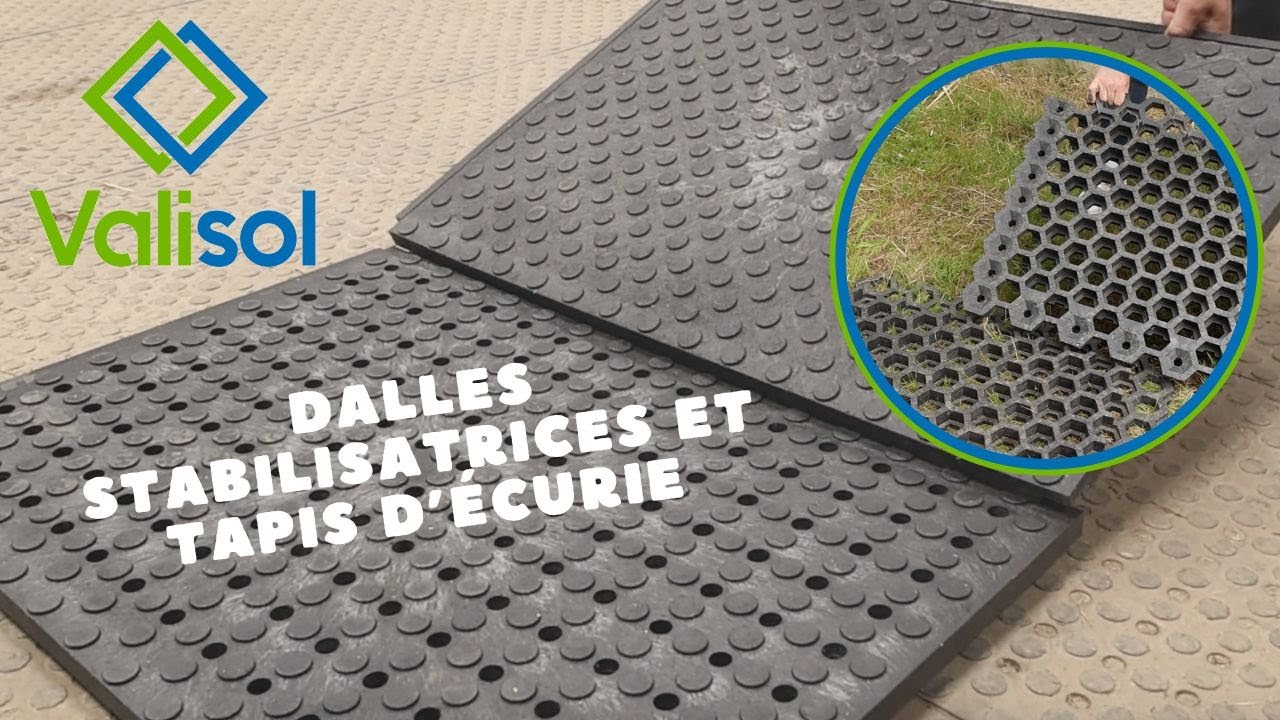 tapis, dalles, pavés en granulat de caoutchouc pour écurie, paddock
