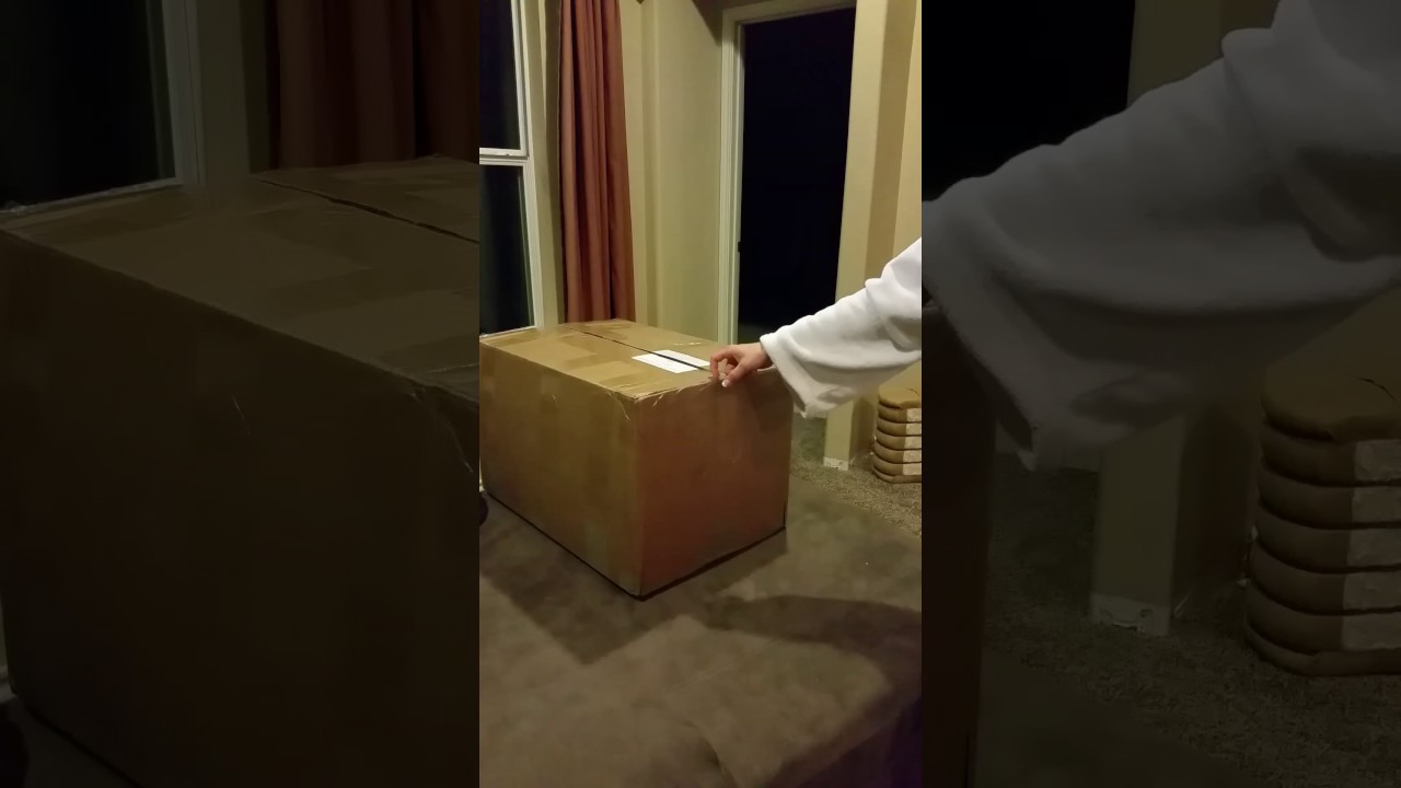 Cat in the box jack in the box.