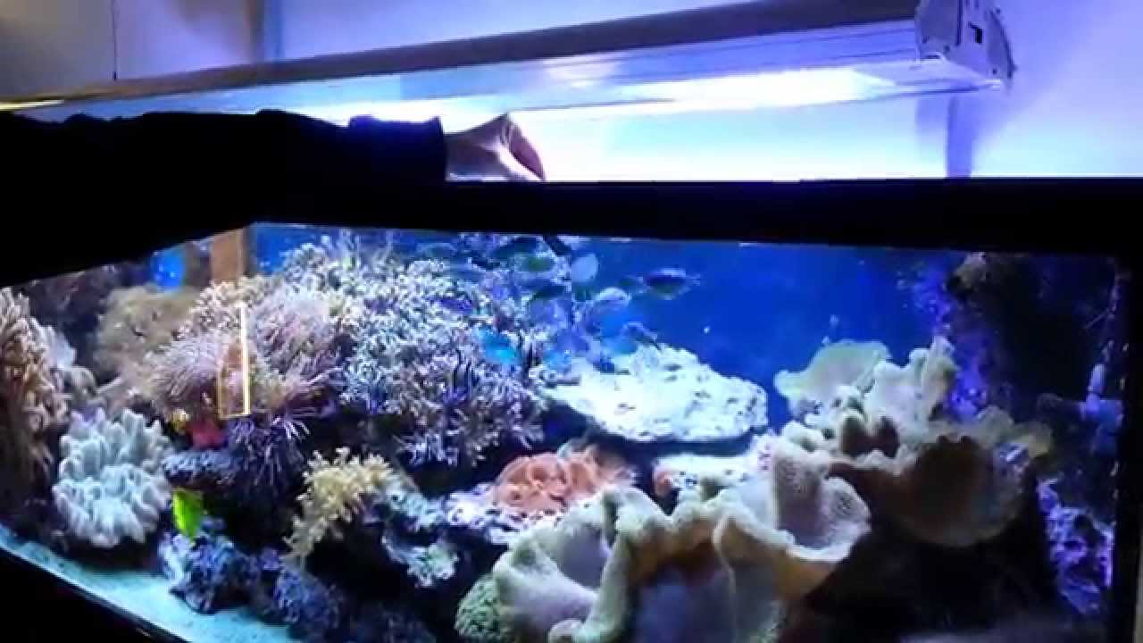 JBL Aquarium ProFlow Pumpe