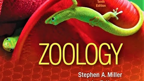 Full eBook of Zoology 10th Edition by Miller and Harley