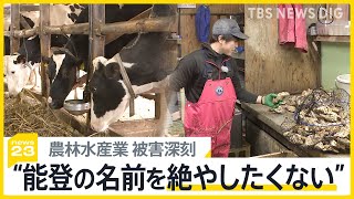 震災によって甚大な被害“世界農業遺産”の農業・漁業・畜産業　地震発生3日目から漁を再開した牡蠣養殖業者「能登の名前を絶やしたくない」【news23】｜TBS NEWS DIG