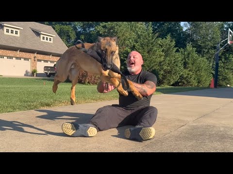 Larry Krohn and Mohawk’s Frankie post tracking fun time