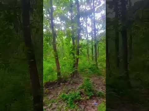 #🤫💓💕💓🫠😌 video💝love