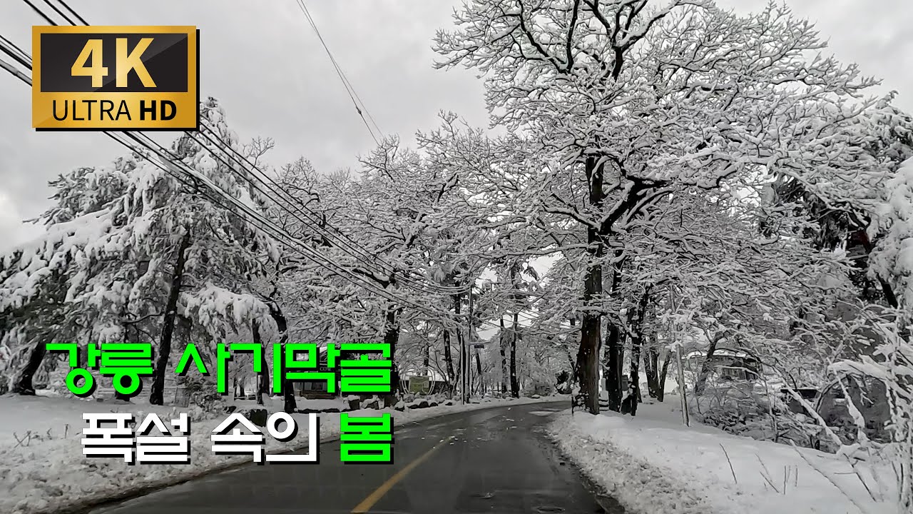 봄  폭설  눈의 나라속으로/사천 - 사기막골 - 용연동계곡 - 연곡
