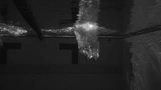 Down Syndrome World Swimming Championships 2018