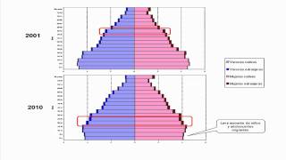 Poblacion Argentina: Etapas de Poblacion // Estructura y Composicion