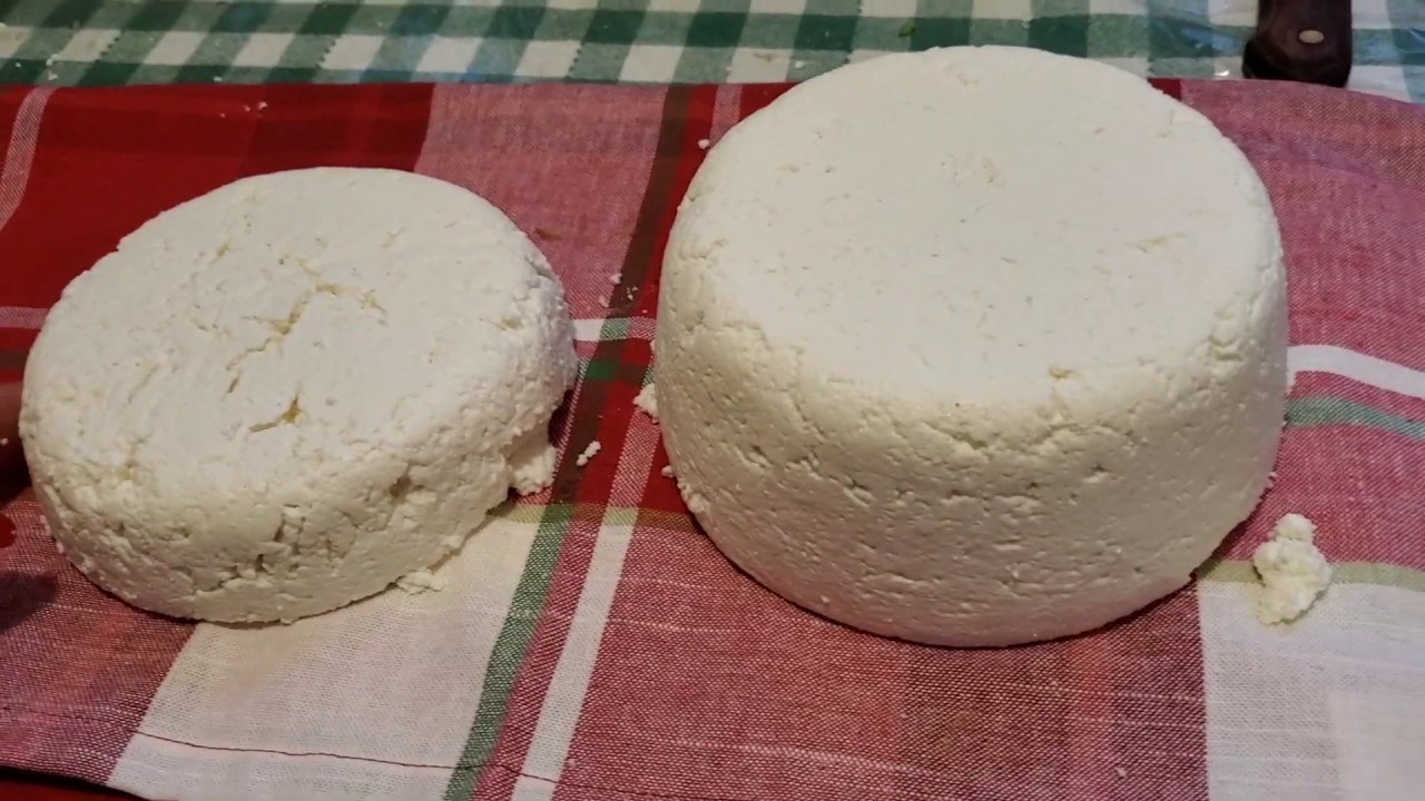 Como hacer Cuajada estilo HONDURAS o QUESO MEXICANO YouTube