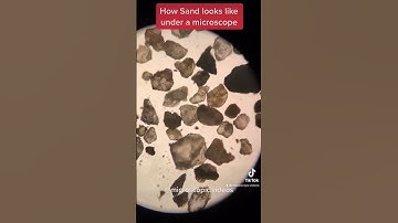How Sand looks like under a Microscope #sand #sandundermicroscope #microscopevideos #microscopy