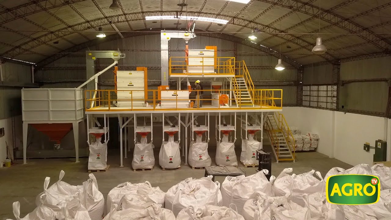 KWS inversión alemana para liderar en maíz (