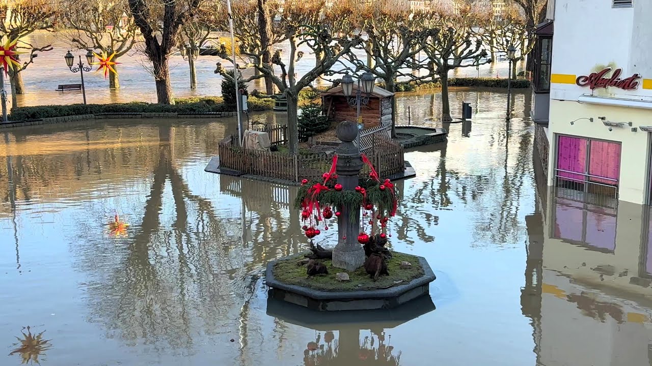 Aktuelle Hochwasserlage in Cochem/Mosel 10.01.2025