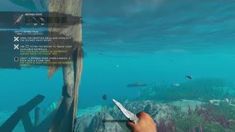 The most dangerous thing in stranded doodoo (Glitches)