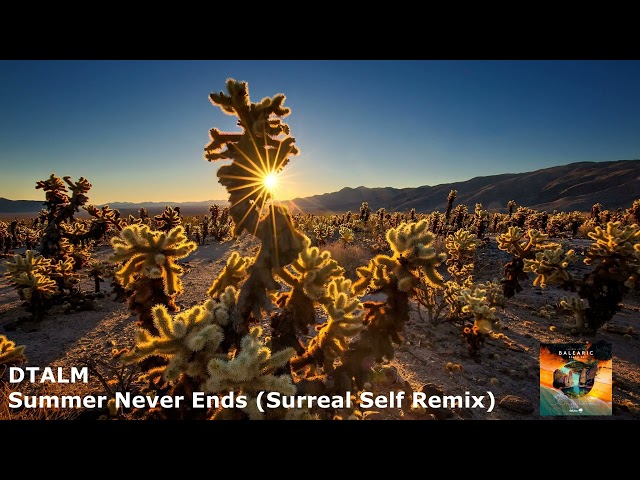 DTALM - Summer Never Ends (Surreal Self Remix)[SOL282] class=