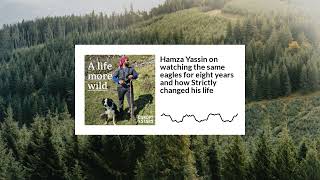 Hamza Yassin on watching eagles & how Strictly changed his life | A Life More Wild S3E11