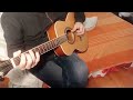 l'animale guitar