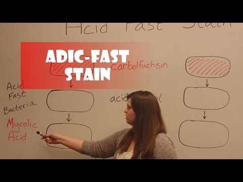 Video: Rozdíl Mezi Gram Stain A Acid Fast