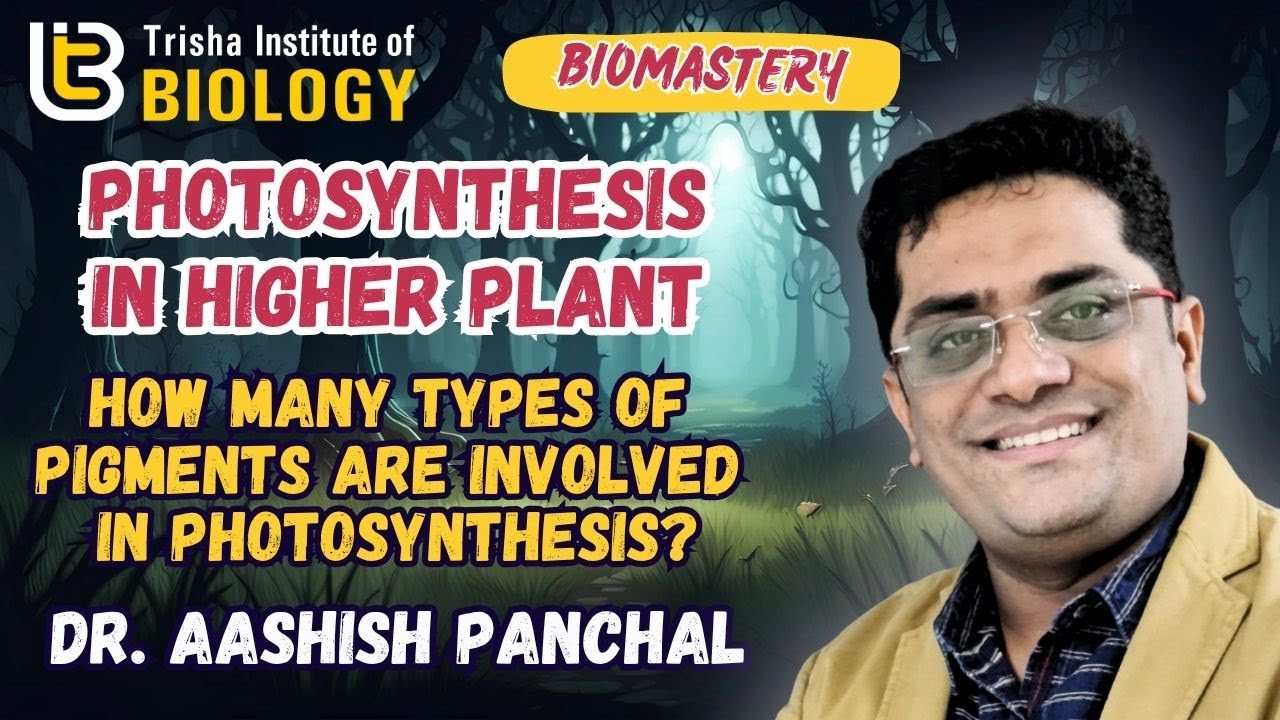 HOW MANY PIGMENTS INVOLVED IN PHOTOSYNTHESIS
