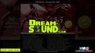 Chinese Assassin - Kill Or Be Killed 3.5 &amp; Gaza Vs Gully Part Few (Mix 2010 Ft Vybz Kartel, Bramma)