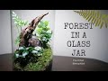 Forest in a glass jar (closed nature terrarium)