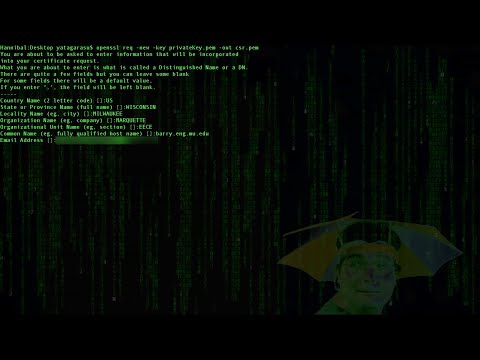 How to TLS