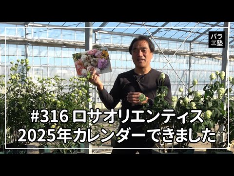 316 Rosa Orientis 2025 Calendar is ready - YouTube