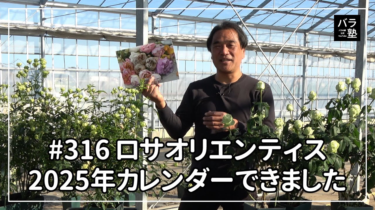 316 Rosa Orientis 2025 Calendar is ready - YouTube