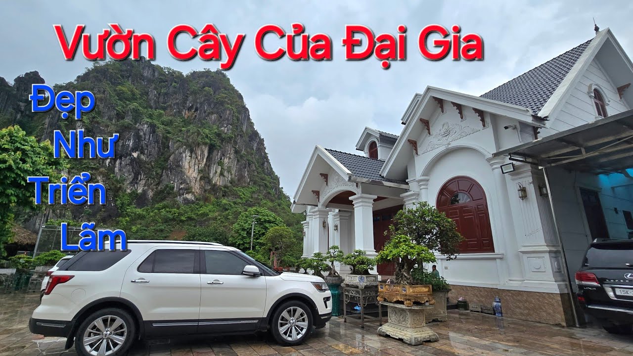 CHIÊM NGƯỠNG không gian ĐẸP NHƯ TRIỂN LÃM trong đó có khoảng 300 TP nhà anh NGÔ KHUYNH - HP .