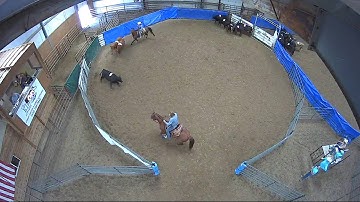 Big Sky Ranch Sorting Saddle Series #4 - #3 SORT - Round #1 - Ride #29