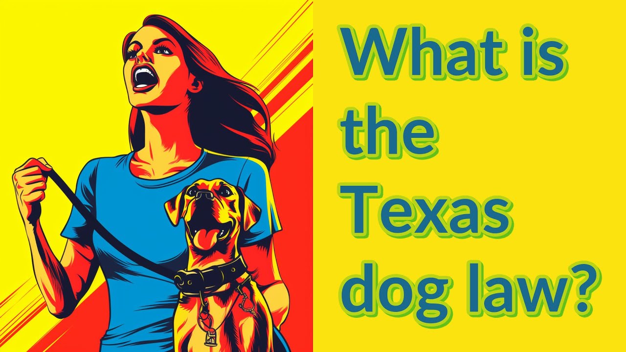 What is the Texas dog law? YouTube