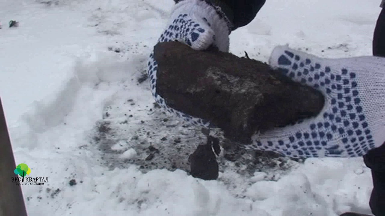 как похоронить кота зимой если земля промерзлая