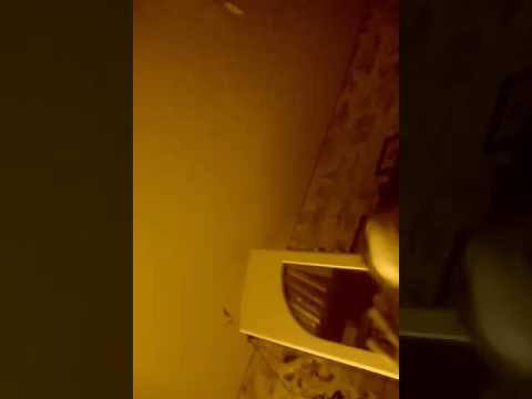 366 моделей оригами !!!)))