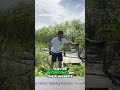Moringa GrowthOS Making Sales and Website Setup Simplified