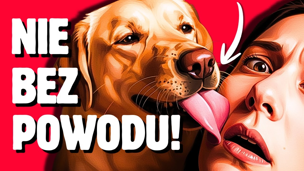 10 RÓŻNYCH powodów, dla których Twój pies liże Cię — Jeden cię NIEPOKOI
