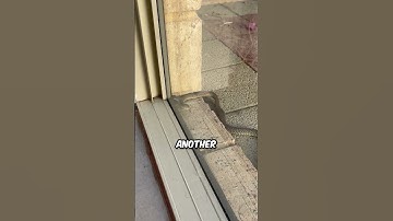 It’s The Snake’s House Now 😭