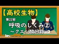 高校生物【第22回 呼吸のしくみ②〜クエン酸回路〜】オンラインで高校授業