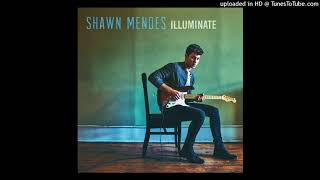 Shawn Mendes - Mercy (Acoustic) [Audio]