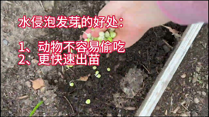 這個媽媽去超市花一塊錢吃了整個季度 - 天天要聞