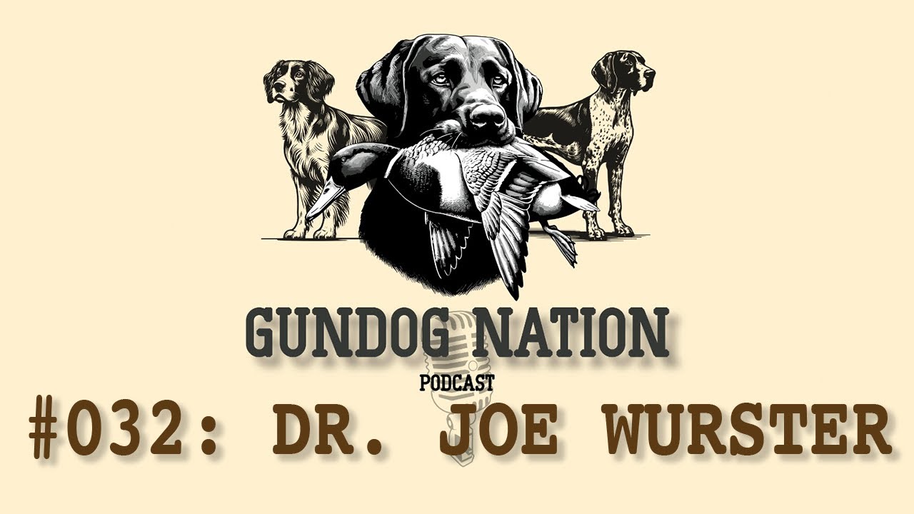 Dr. Joe Wurster - Veterinary Insights for Gundog Owners
