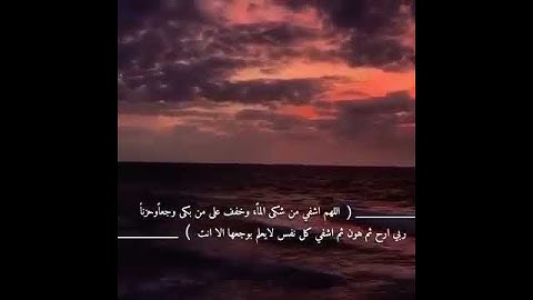 قران كريم بصوت الشيخ رعد الكردي// حالات واتس اب دينية// حالات قران كريم// تلاوة خاشعة