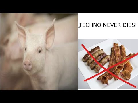 Legends never Die ( A technoblade montage)       TECHNO NEVER DIES