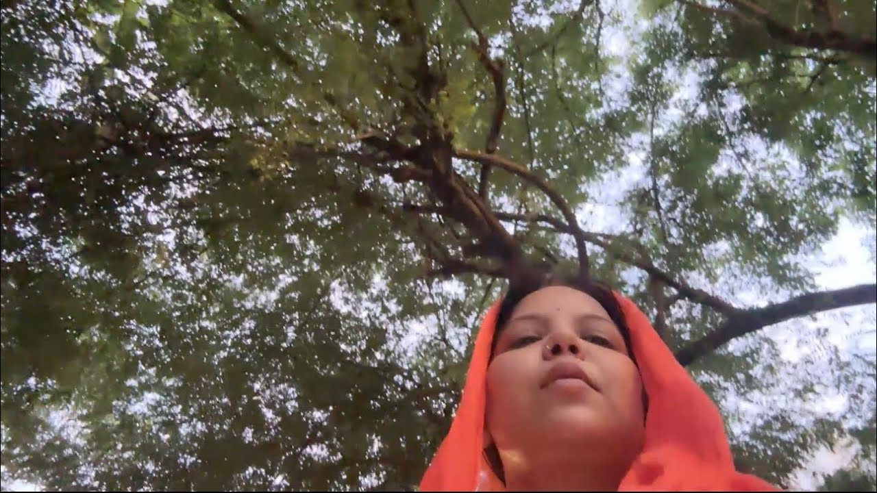 In a world full of cruelty, Islam’s true beauty shines through mercy, patience, and peace.”