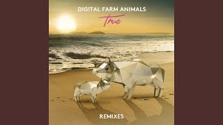 True (Mike Mago Remix)