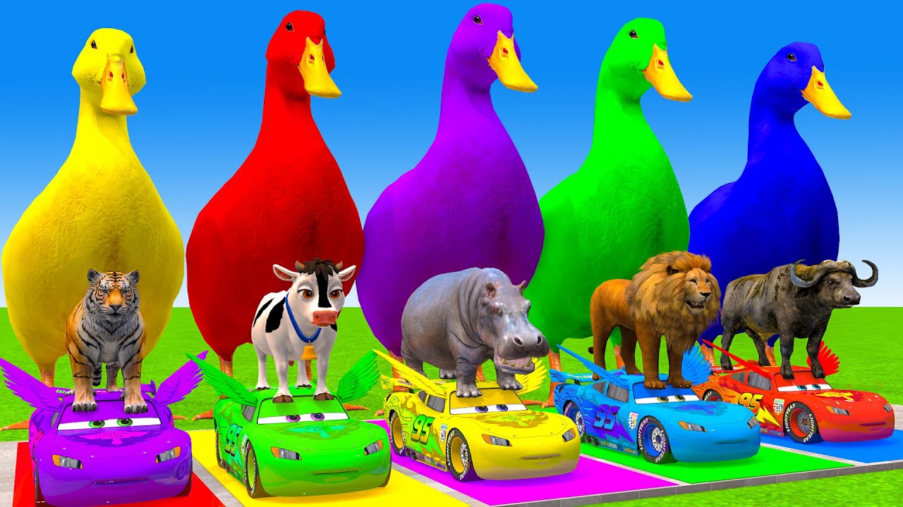 5 Giant Duck Cartoon,Cow,Elephant,Tiger,Lion,Gorilla, Paint Wild Animals Crossing Fountain Animation