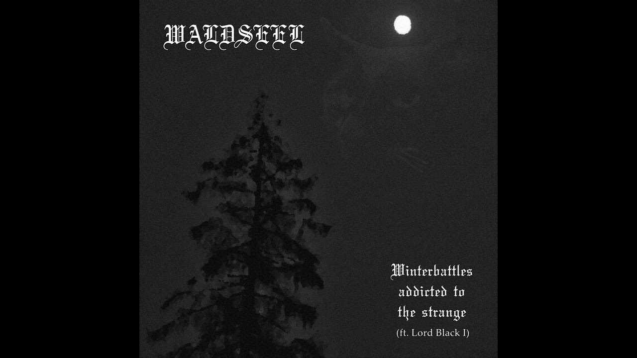 Waldseel - Winterbattles addicted to the strange