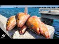 Taught a Subscriber How to Catch Grouper & Snapper on the Skyway Fishing Pier!