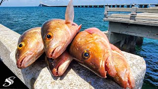 Taught a Subscriber How to Catch Grouper & Snapper on the Skyway Fishing Pier!