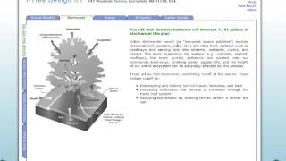 i-Tree Design - Looking at Benefits