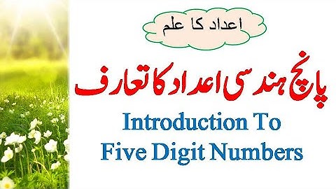 Maths | Introduction To Five Digit Numbers | پانچ ہندسی اعداد کا تعارف