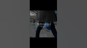 القارئ ياسر الزيلعي